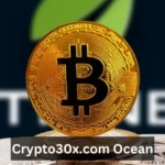 crypto30x.com ocean