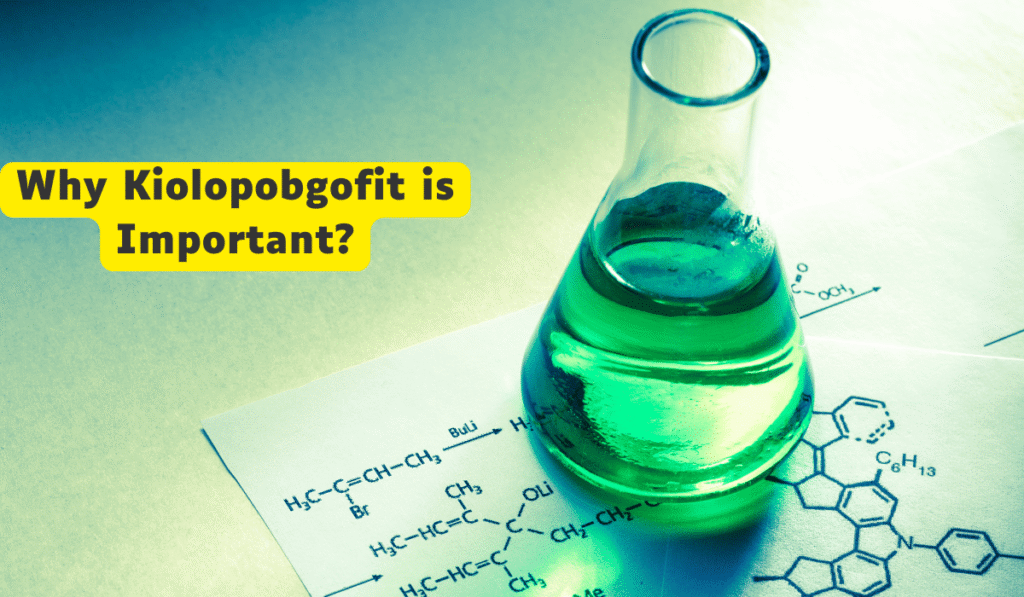 Why Kiolopobgofit is Important: Understanding Its Significance